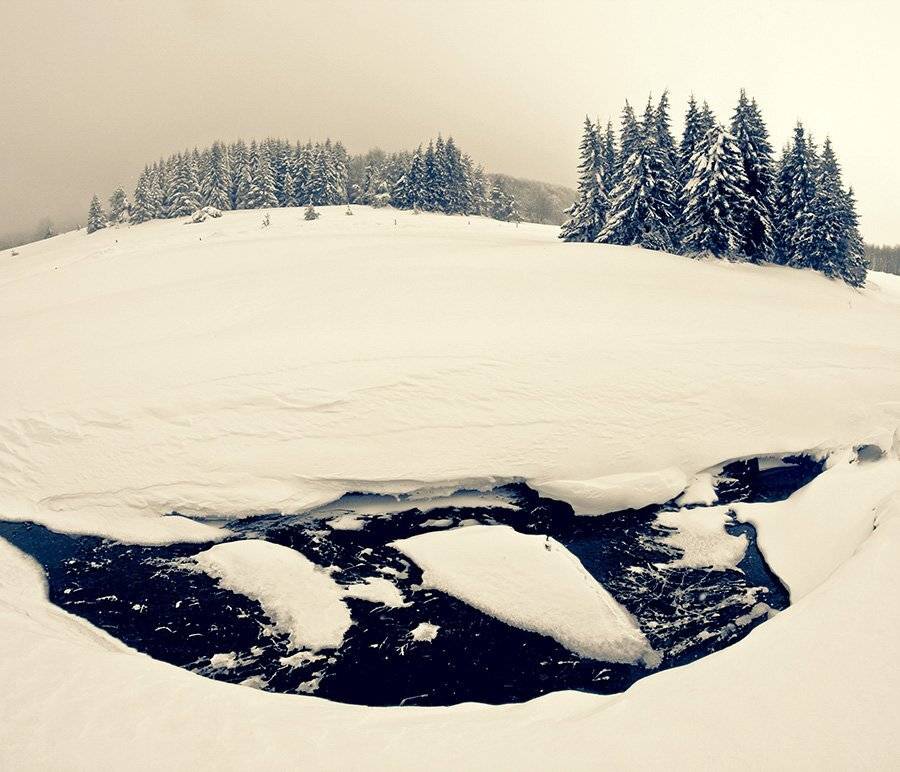 , Борислав Василев