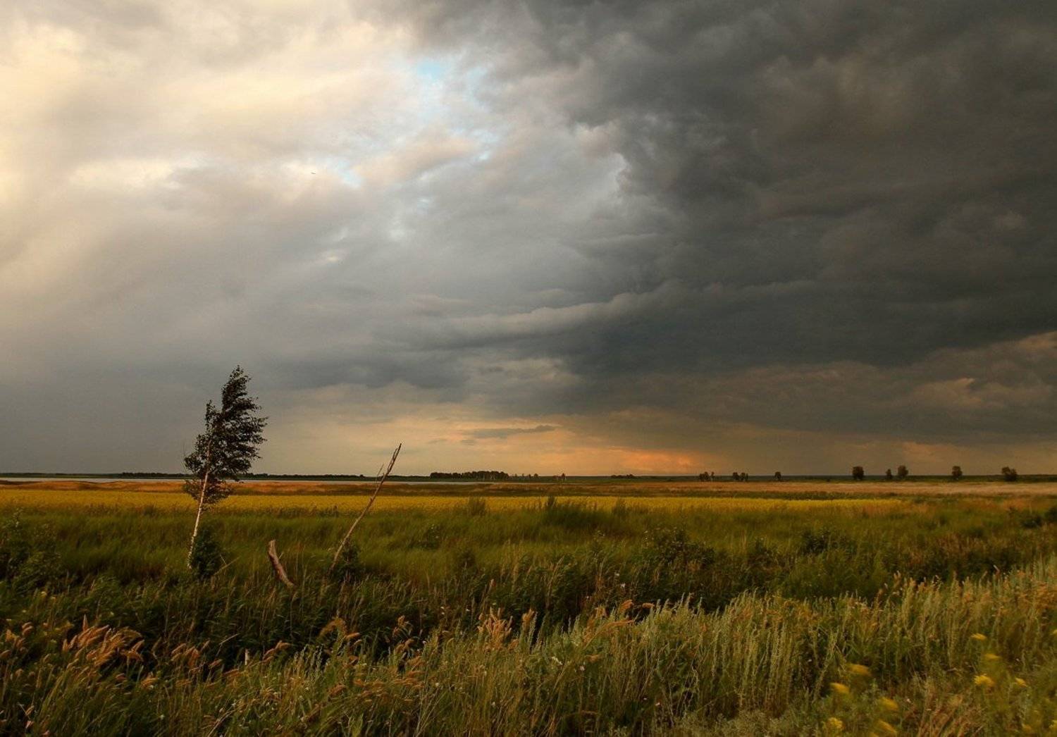 , Васенин Валерий