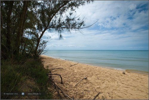 На диком неухоженном пляже