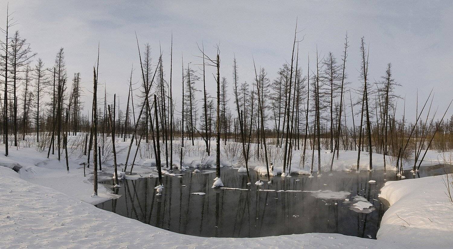 таймыр,зима, Vladimir