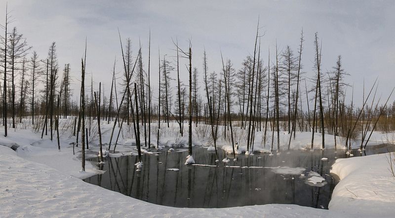 таймыр,зима Местный Гольфстрим фото превью