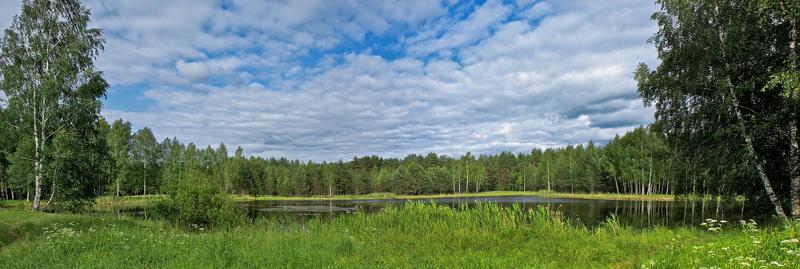 Лесное озеро фото превью