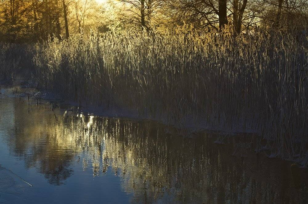 , Rimantas Bikulcius