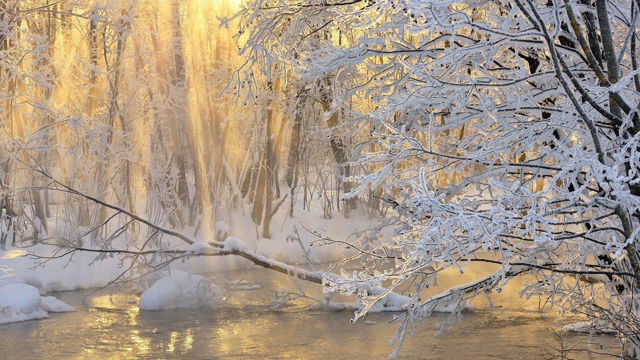 , Андрей Куликов