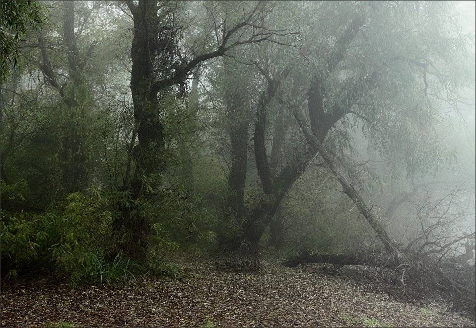 , Сергей Фудиненко