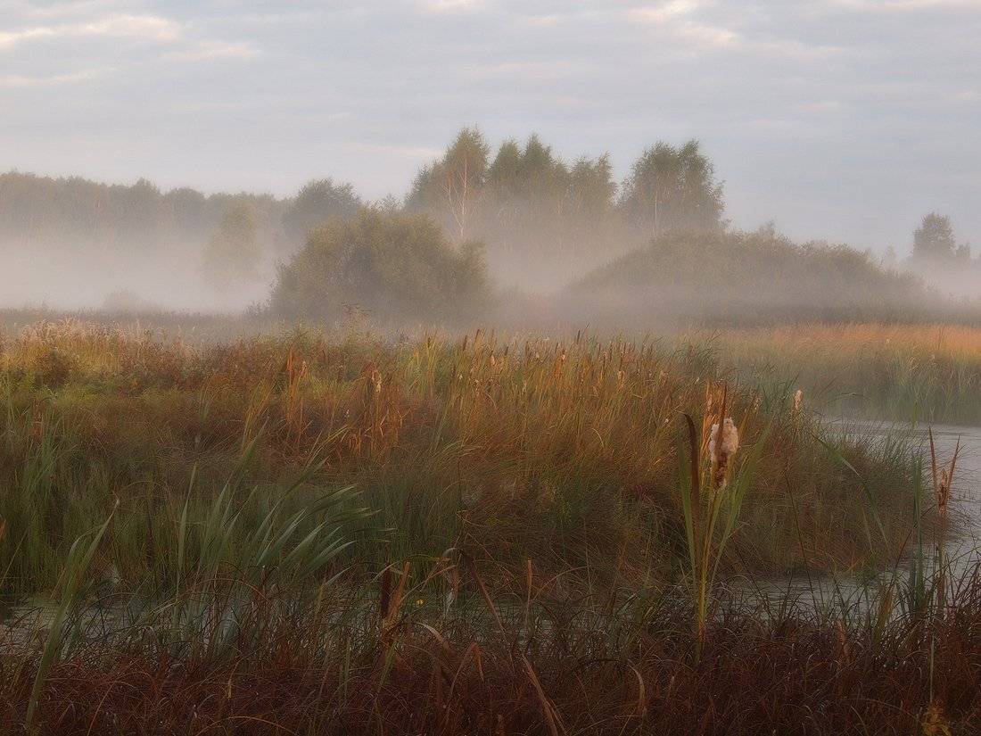 , Владимир Перепечаев