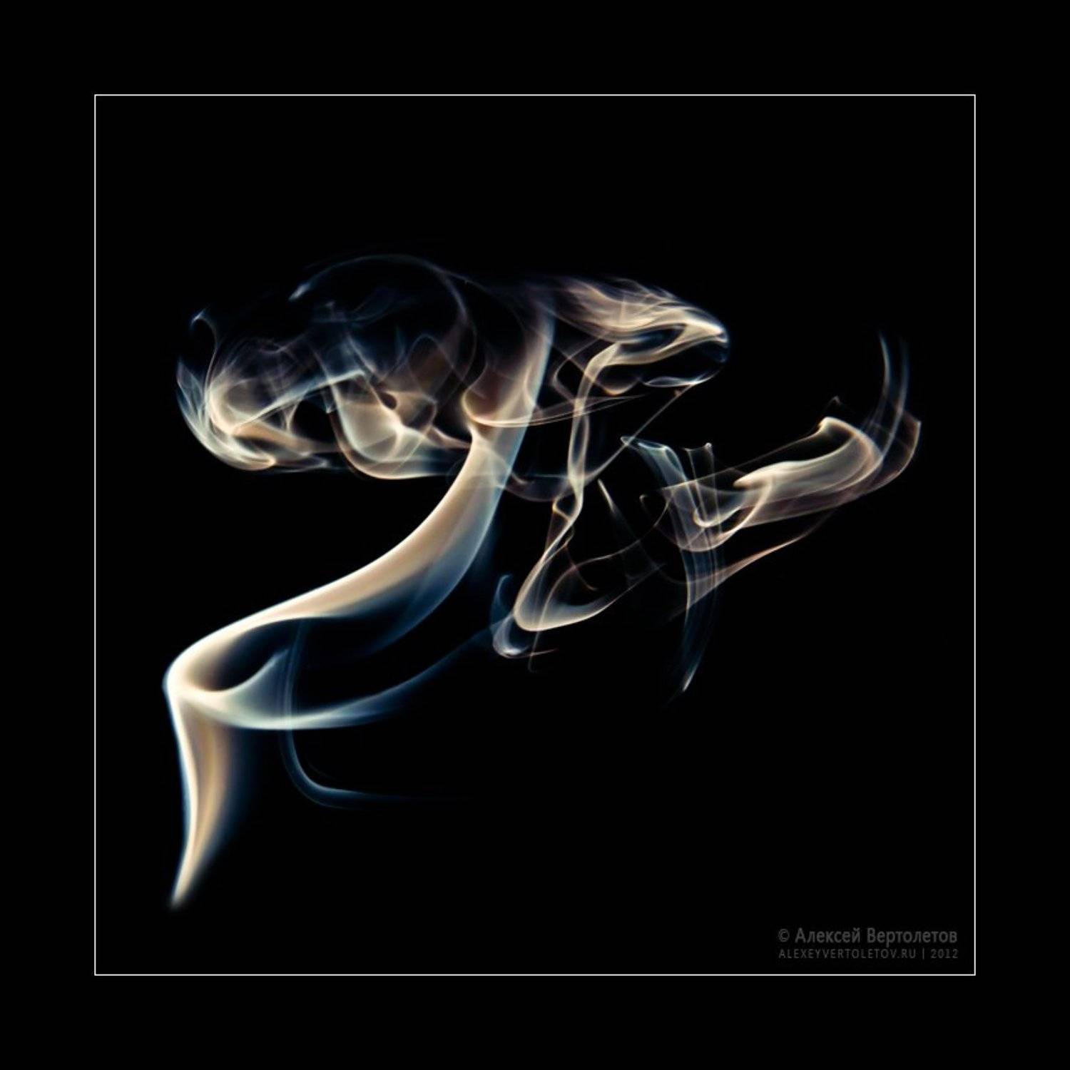 , Алексей Вертолетов