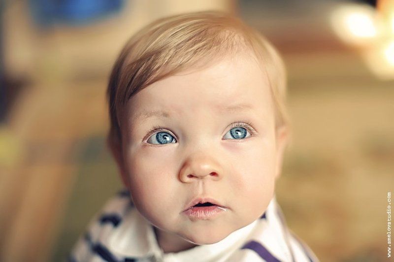 софия София фото превью