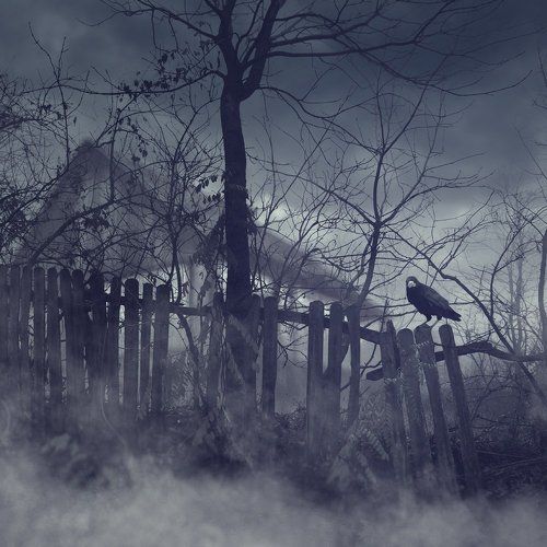 Nobody house II