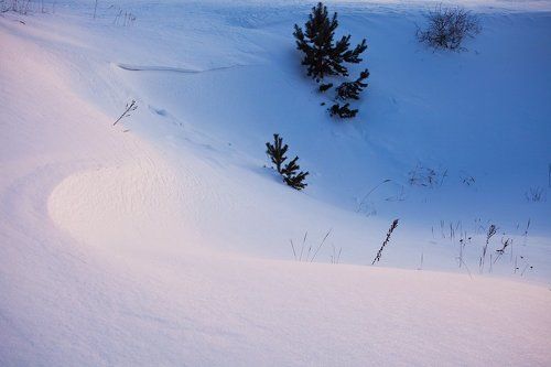 Краски зимы