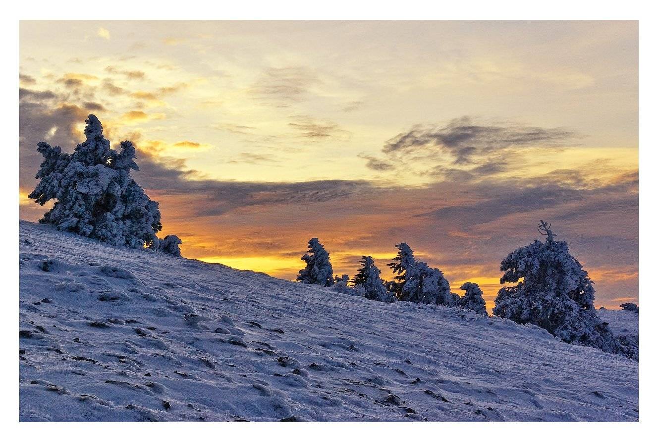 , Игорь Мелекесцев