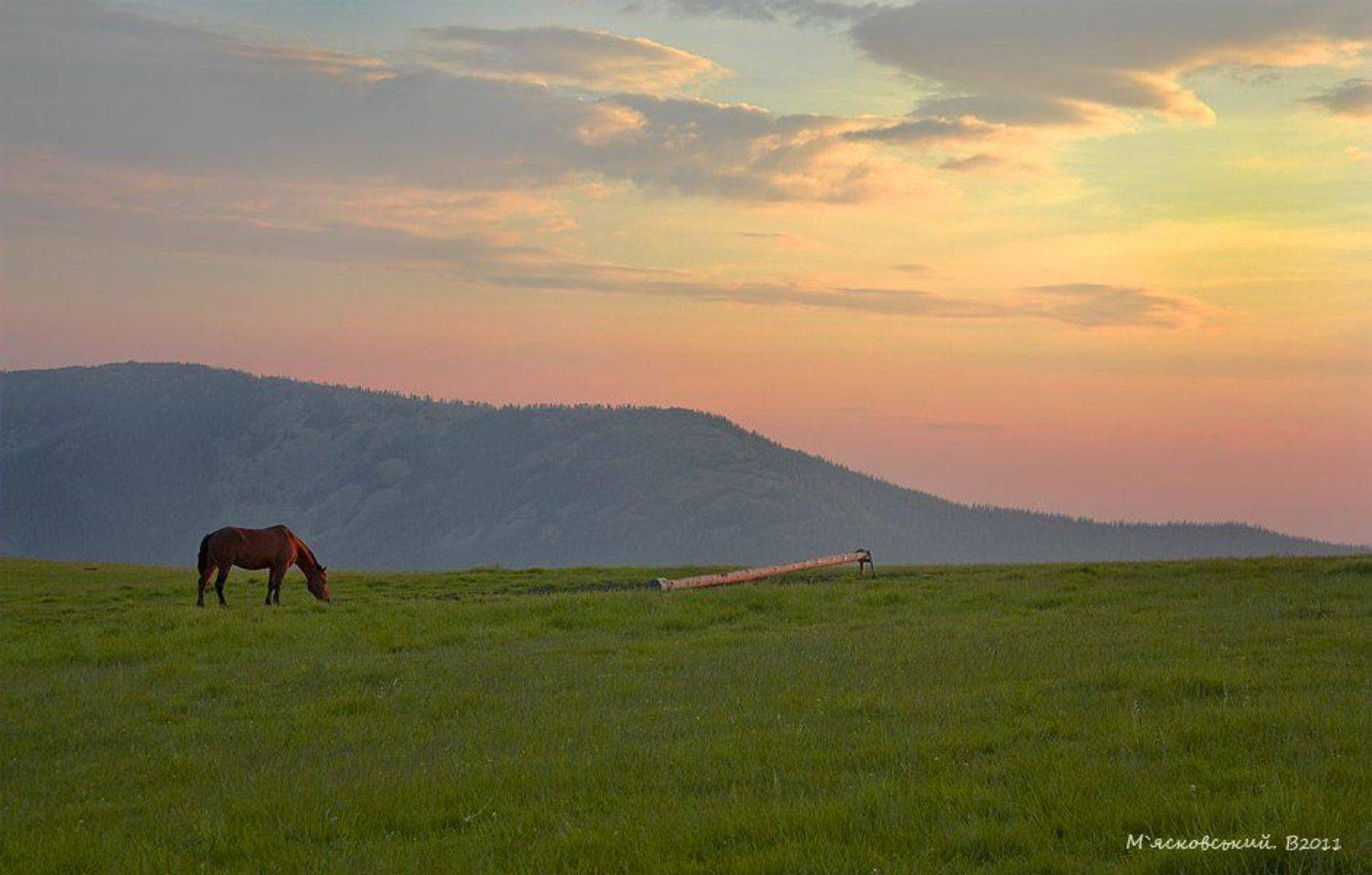 , Wolodymer Mjaskowskuj