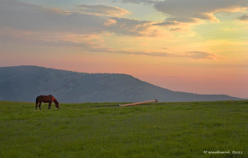 *** фото превью