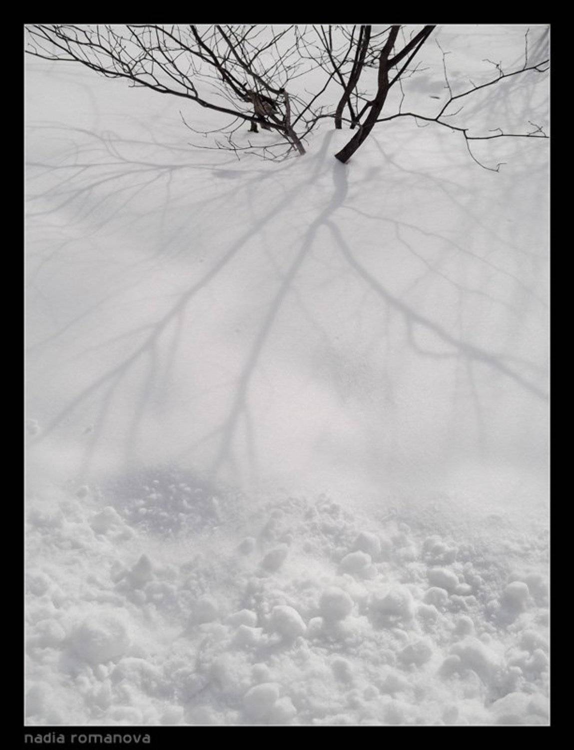 зима, снег, тень, чб, Nadia Romanova