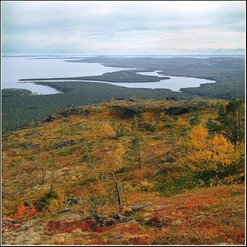 Карелия.На просторах осени. фото превью