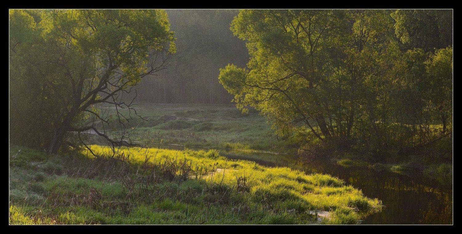 весна, май, река, утро, b.o.g.