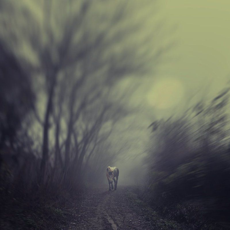 Alone III фото превью