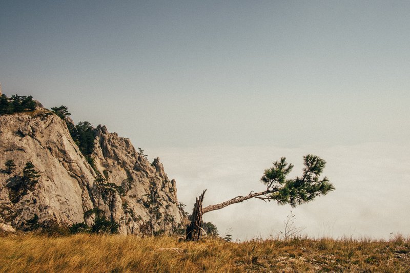 крым, горы, облака Ай-Петри фото превью