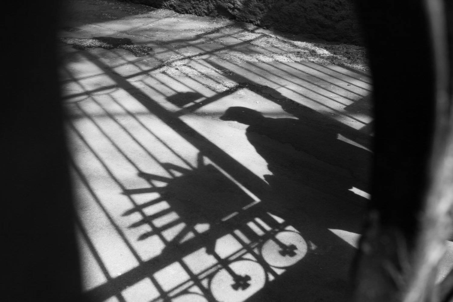 жанр, стрит, street, genre, estet mf, saratov, саратов, documentary, репортаж, тени, shadows, Faletkin Mikhail
