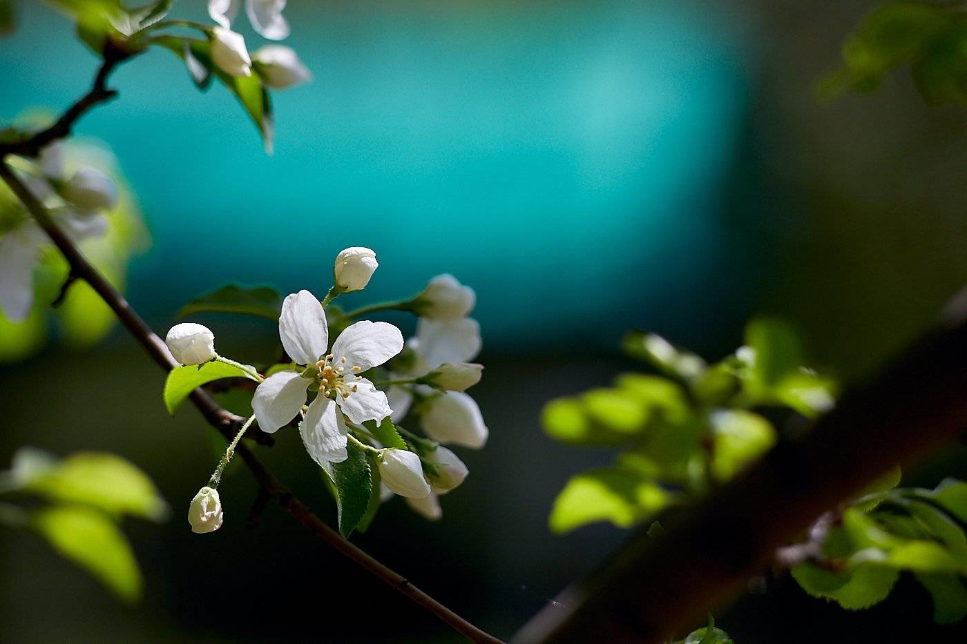 башкирия, южный урал, урал, орск, новотроицк, талкас, гадельша, сибай, зилаир. баймак, юлдыбаево, озеро талкас, водопад, водопад гаделша, пейзаж, лето, осень, качурин, зима, весна, ковыль, Качурин Алексей