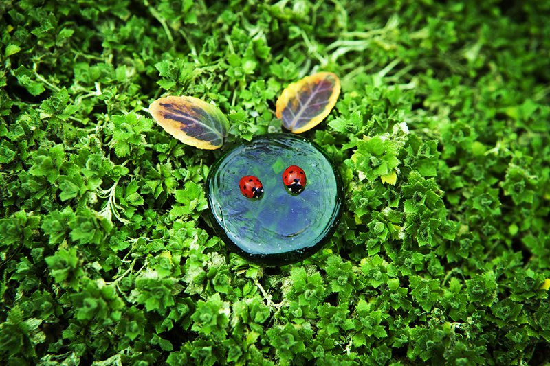 ** фото превью