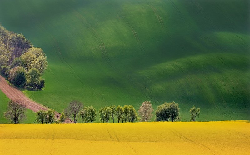 Moravia фото превью