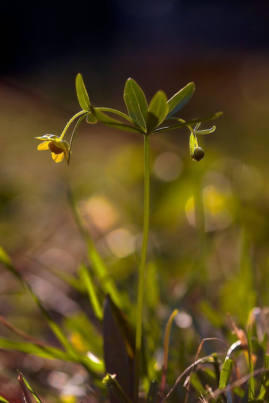 башкирия, южный урал, урал, орск, новотроицк, талкас, гадельша, сибай, зилаир. баймак, юлдыбаево, озеро талкас, водопад, водопад гаделша, пейзаж, лето, осень, качурин, зима, весна, ковыль, Качурин Алексей