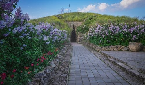 Царский курган: легенды возродившегося мая.