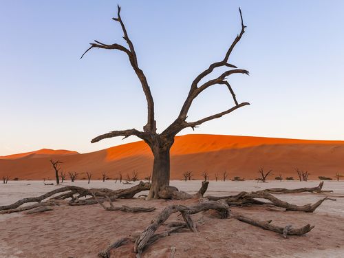 Namibia Deadvlei
