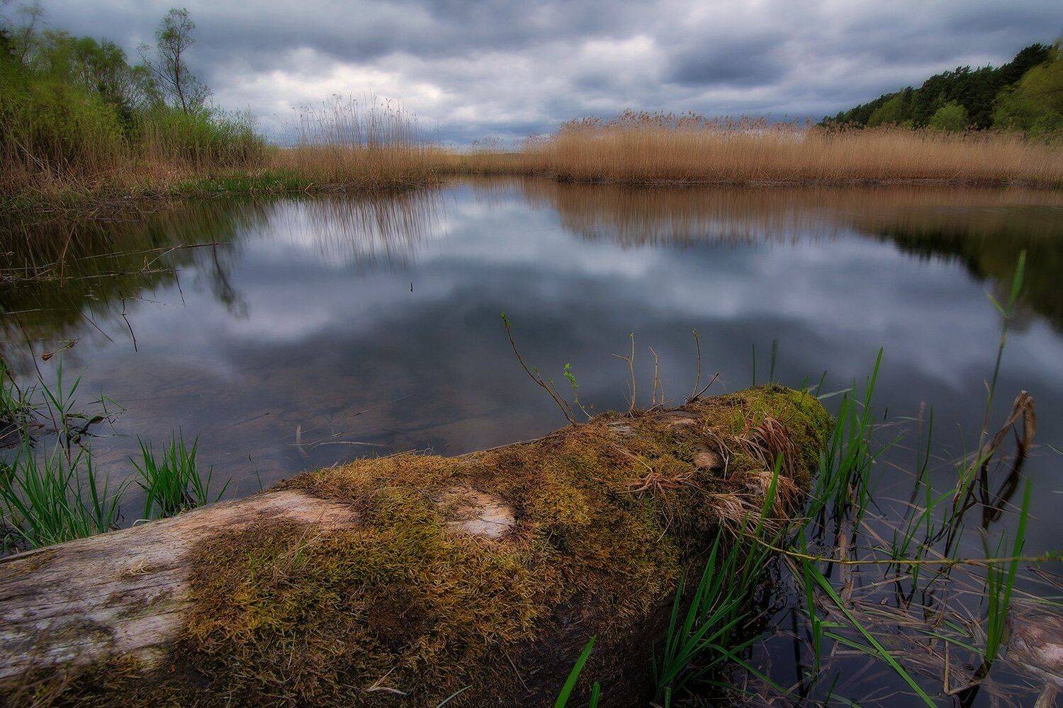 , Федотов Антон
