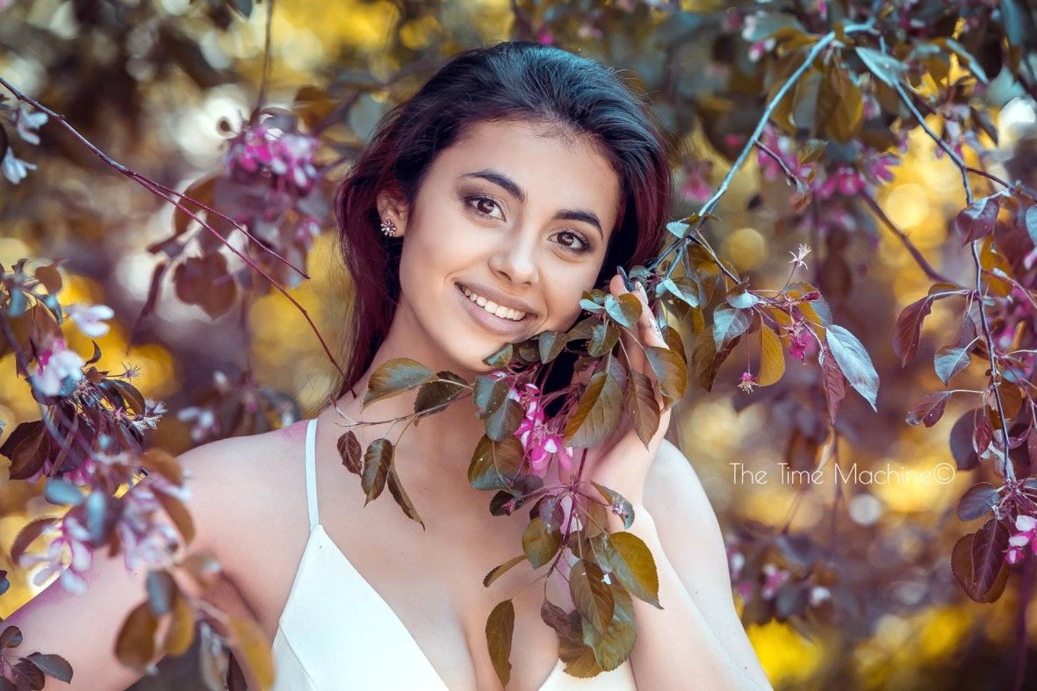 , Михаил Бове