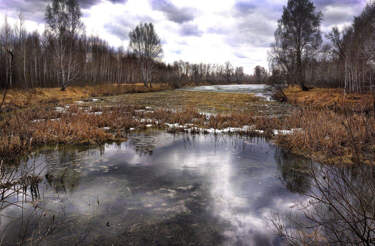 , Бусыгин Борис