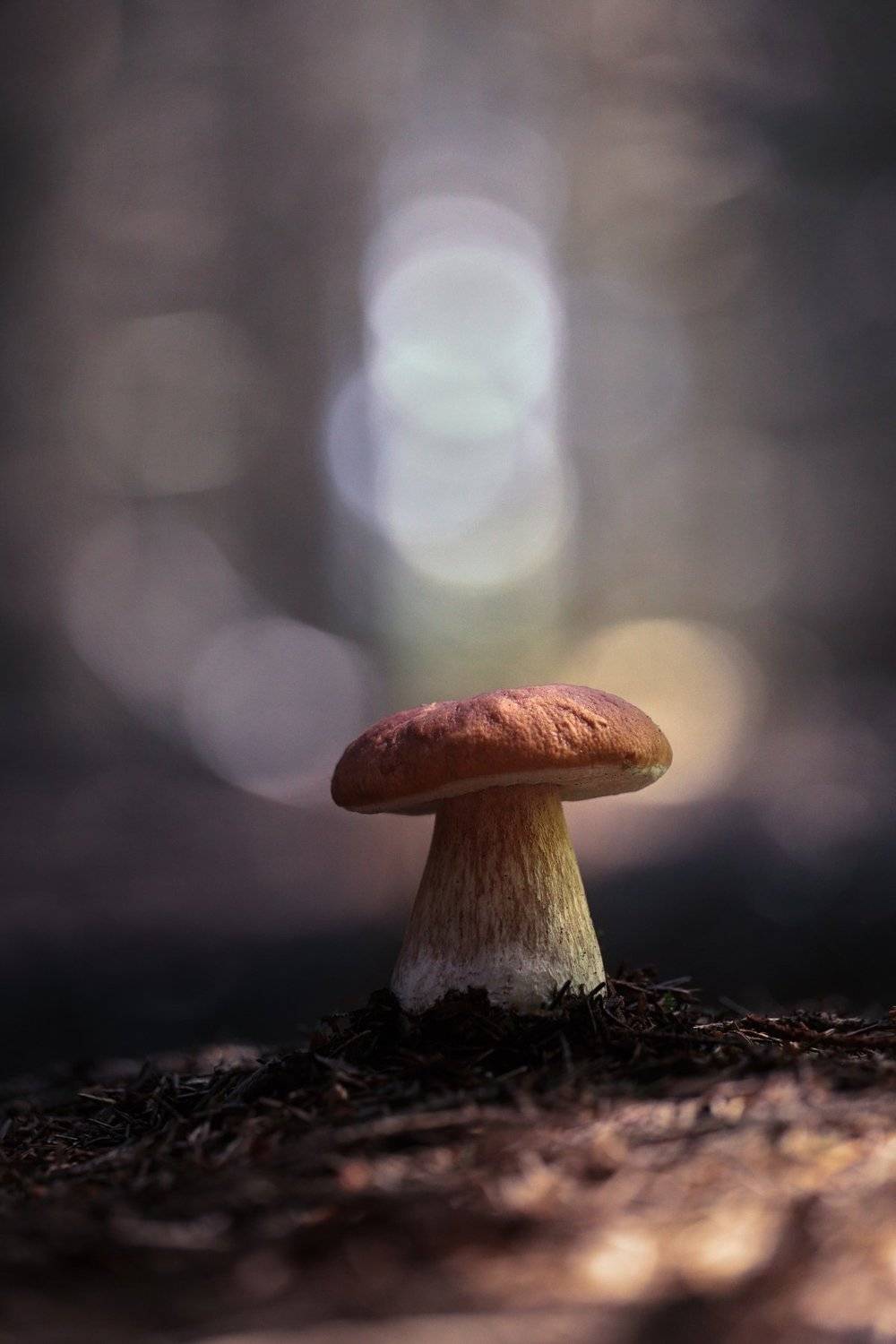 , Вадим Морозов