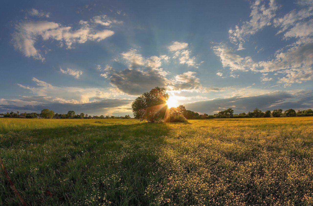 пейзаж,природа,весна,закат,рассвет,небо,цветы,солнце,поляна,луг,свет, Taras