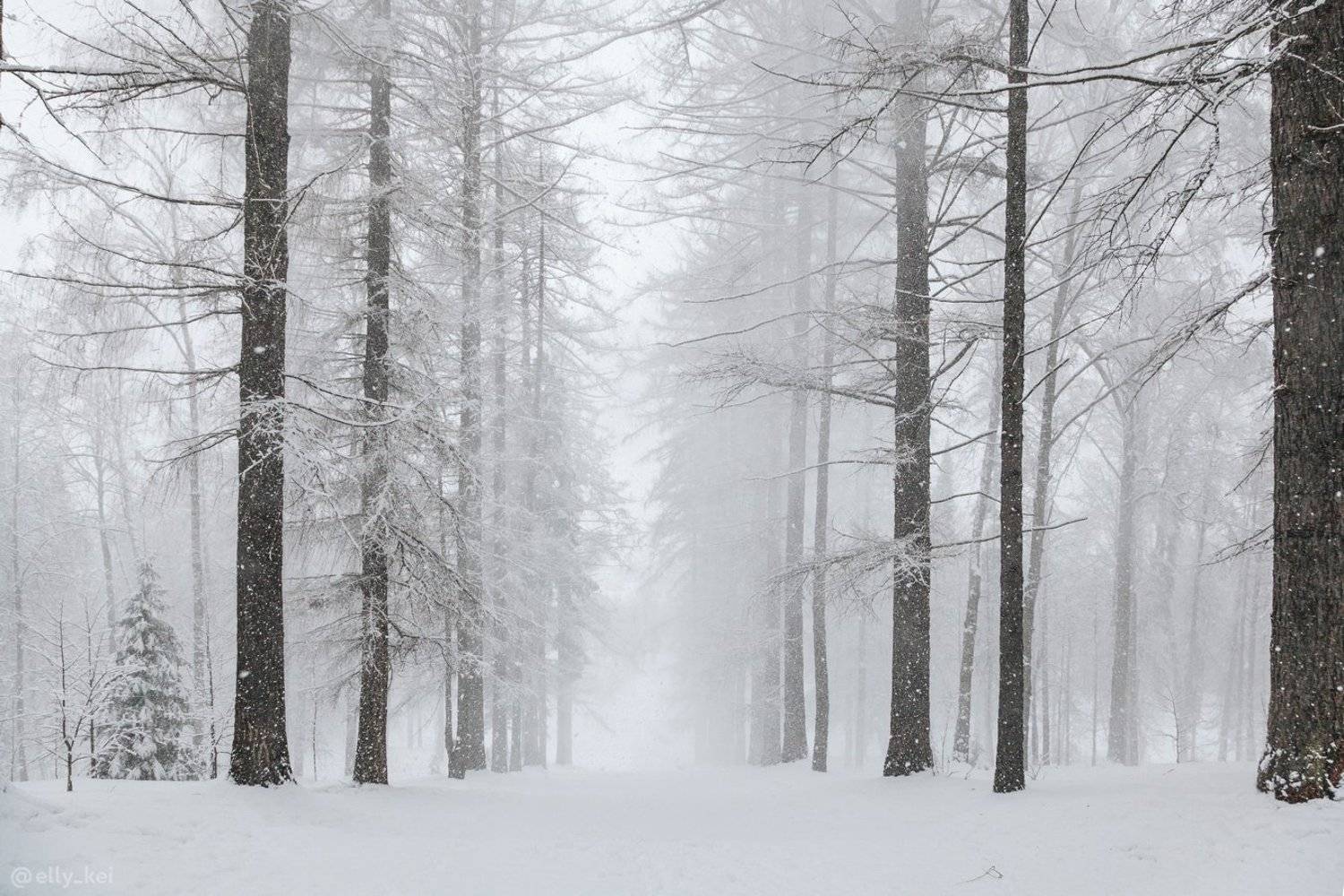Середниково, Элина Хван