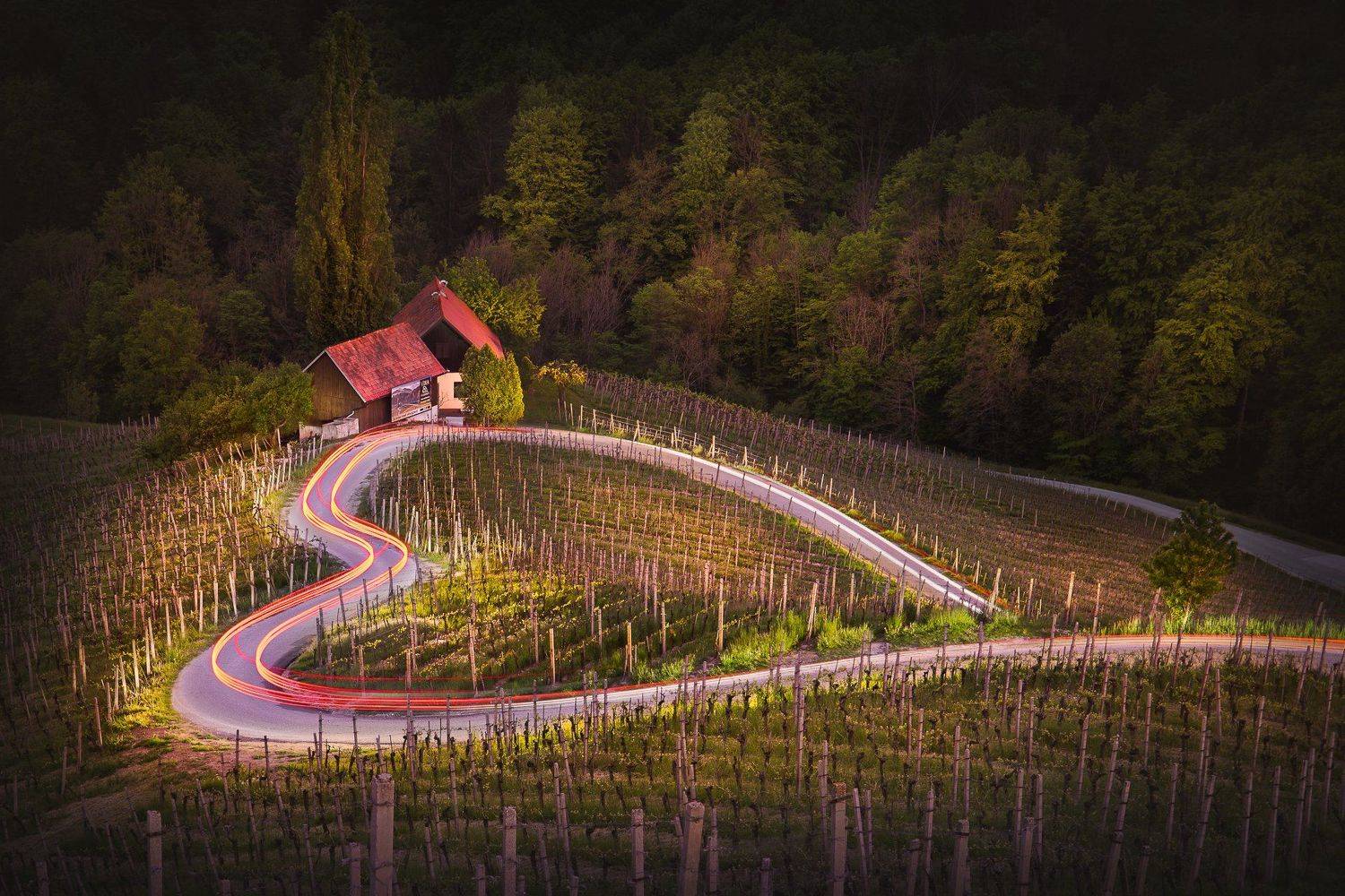 heart, road, slovenia, austria, spicnik, &scaron;pičnik, vineyards, winery, Калин Панчев