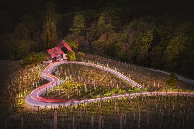 heart, road, slovenia, austria, spicnik, špičnik, vineyards, winery The road of love фото превью