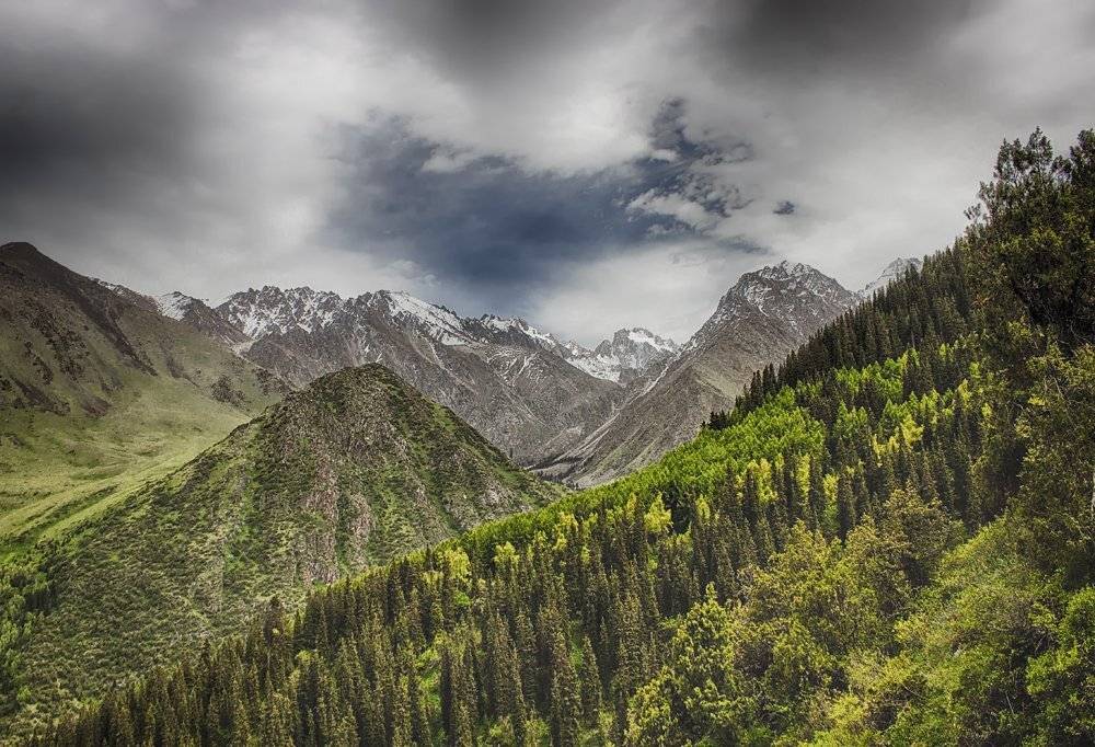 кыргызстан, горы, Элина Магалимова