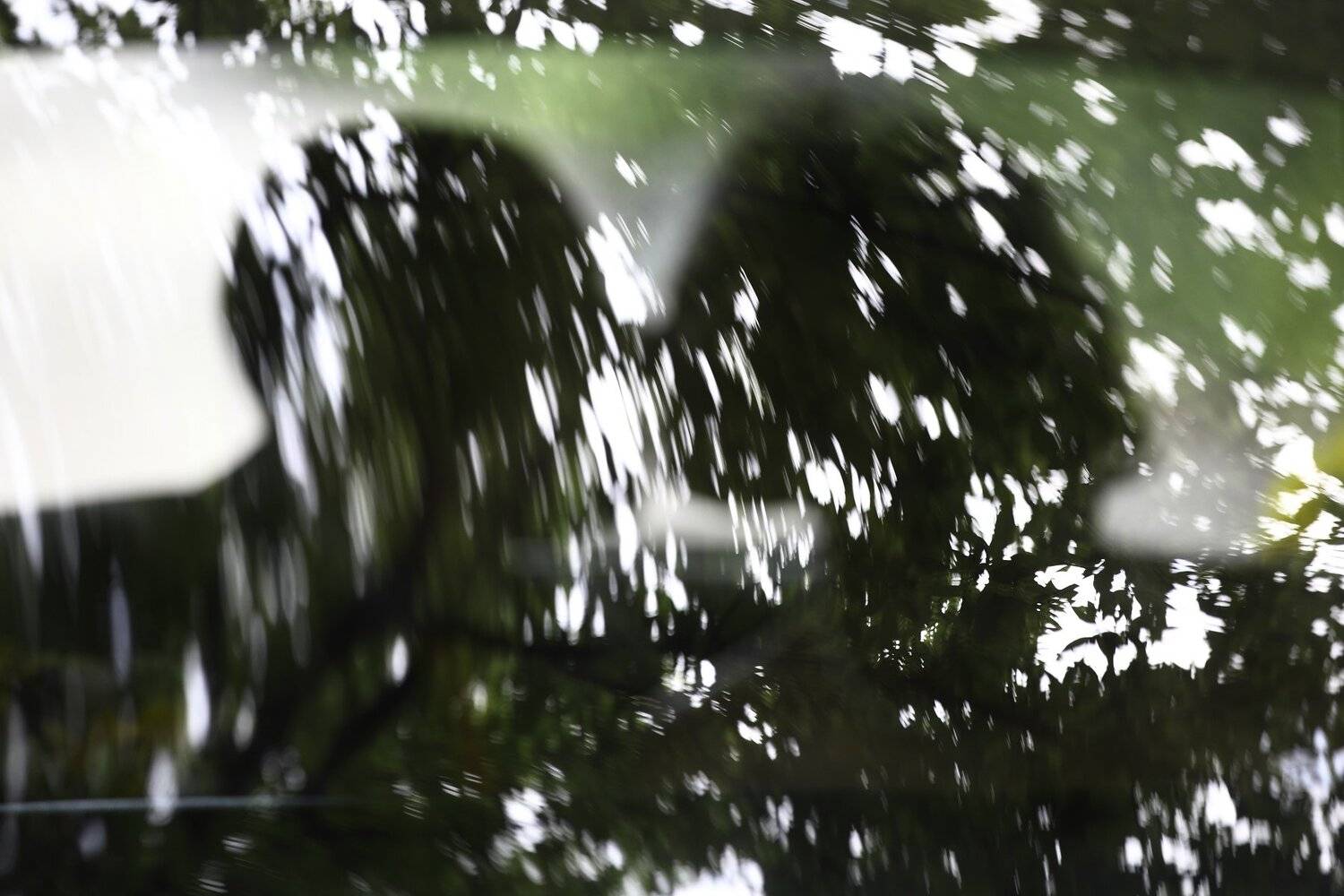 , Бахтин Вячеслав