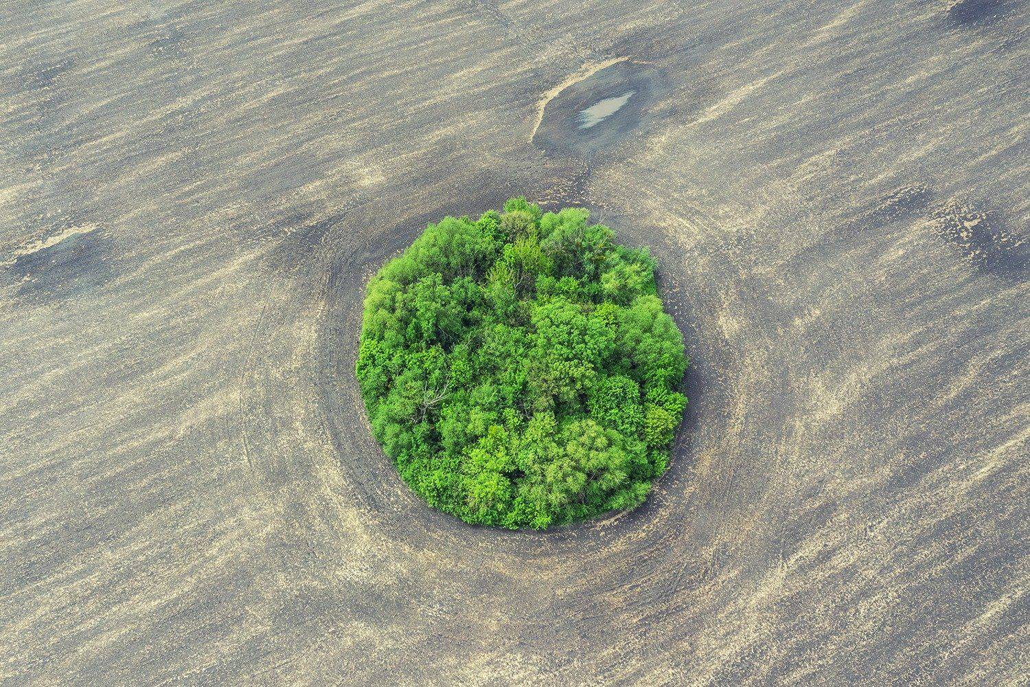 , Владимир Точаненко