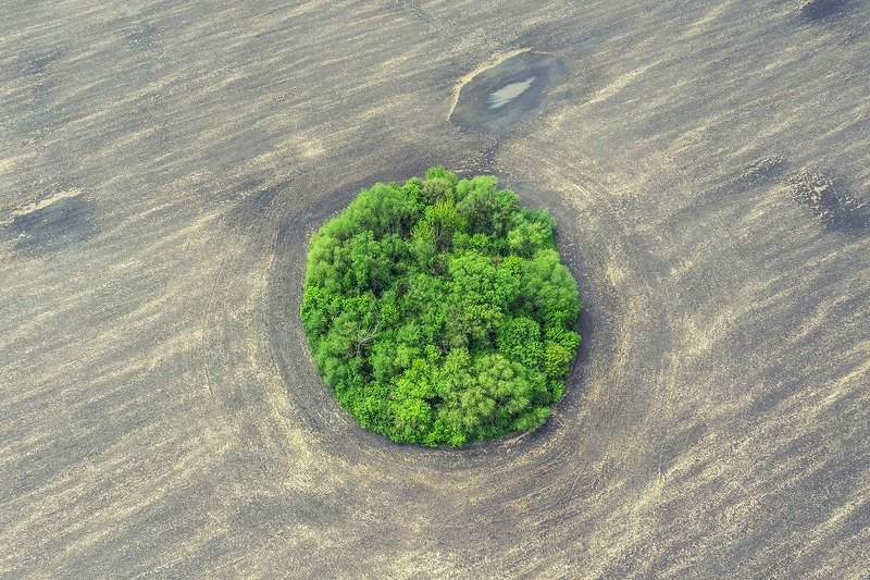 O фото превью