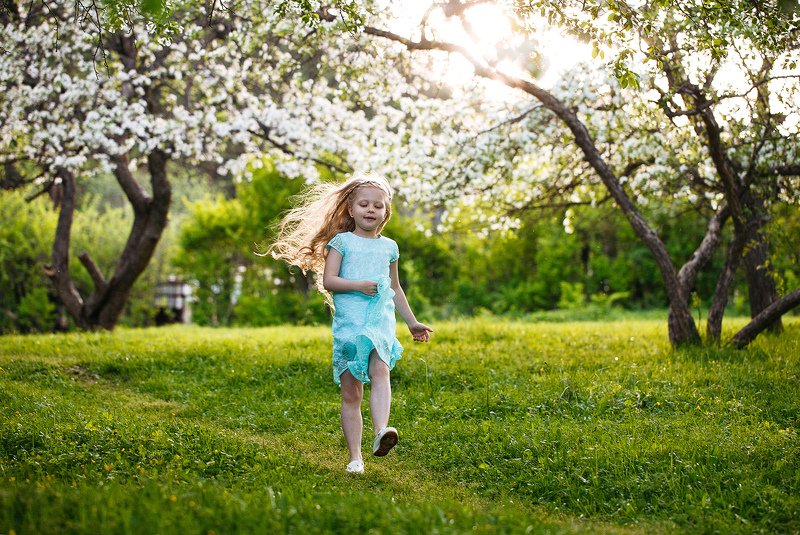 девочка, ребенок, лес, природа, яблони, радость  фото превью