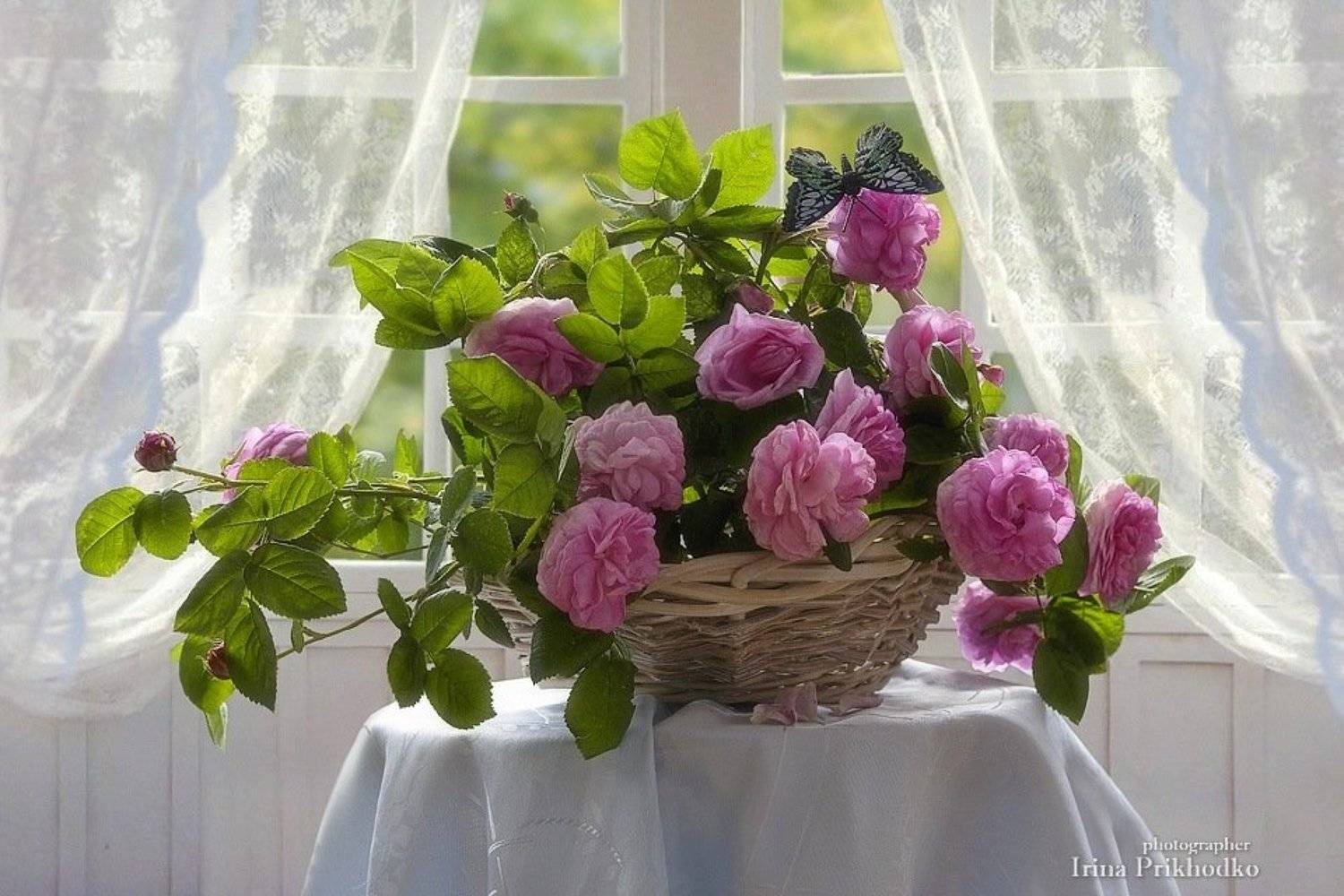 натюрморт, розы, интерьер, цветочный натюрморт, Ирина Приходько