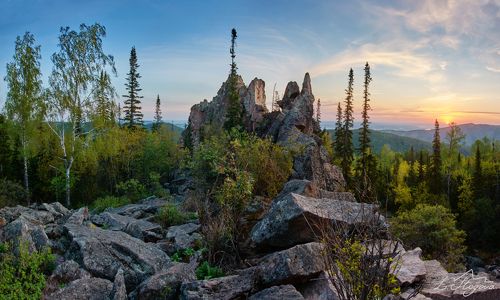 На рассвете в лесу