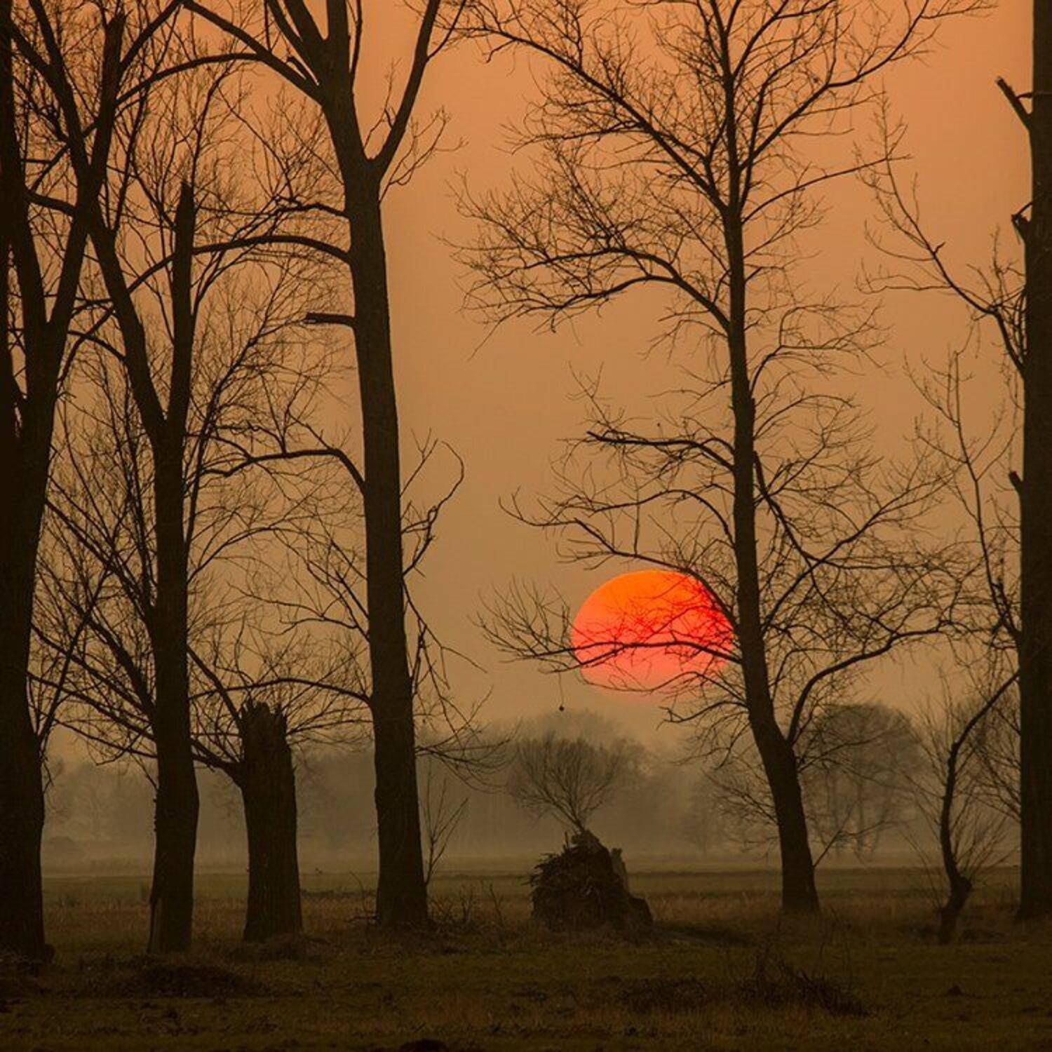 , Pawel Plucinski