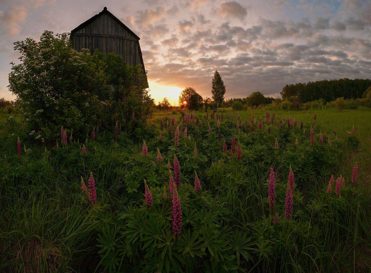 , Виталий Стрельцов