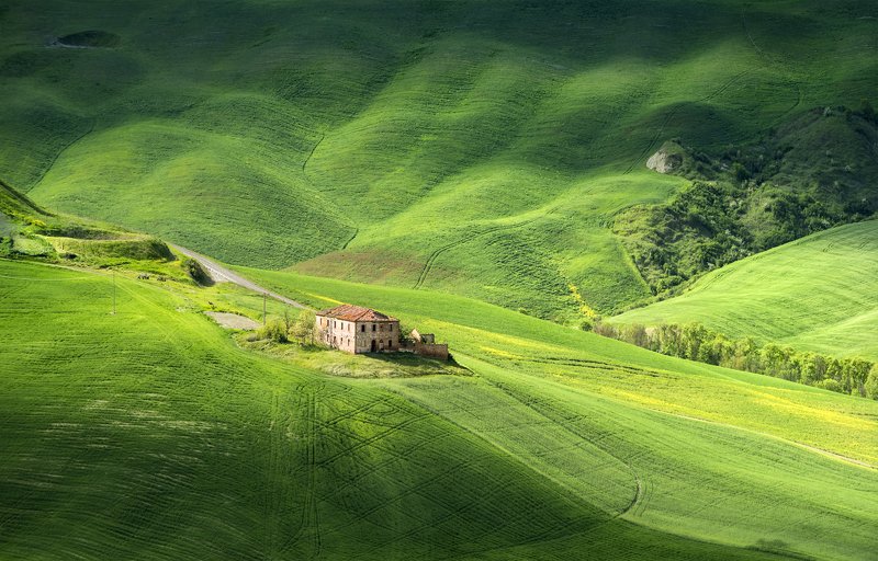 Green field cabin фото превью