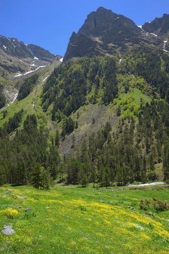 Весна в горах Кавказа,Даут