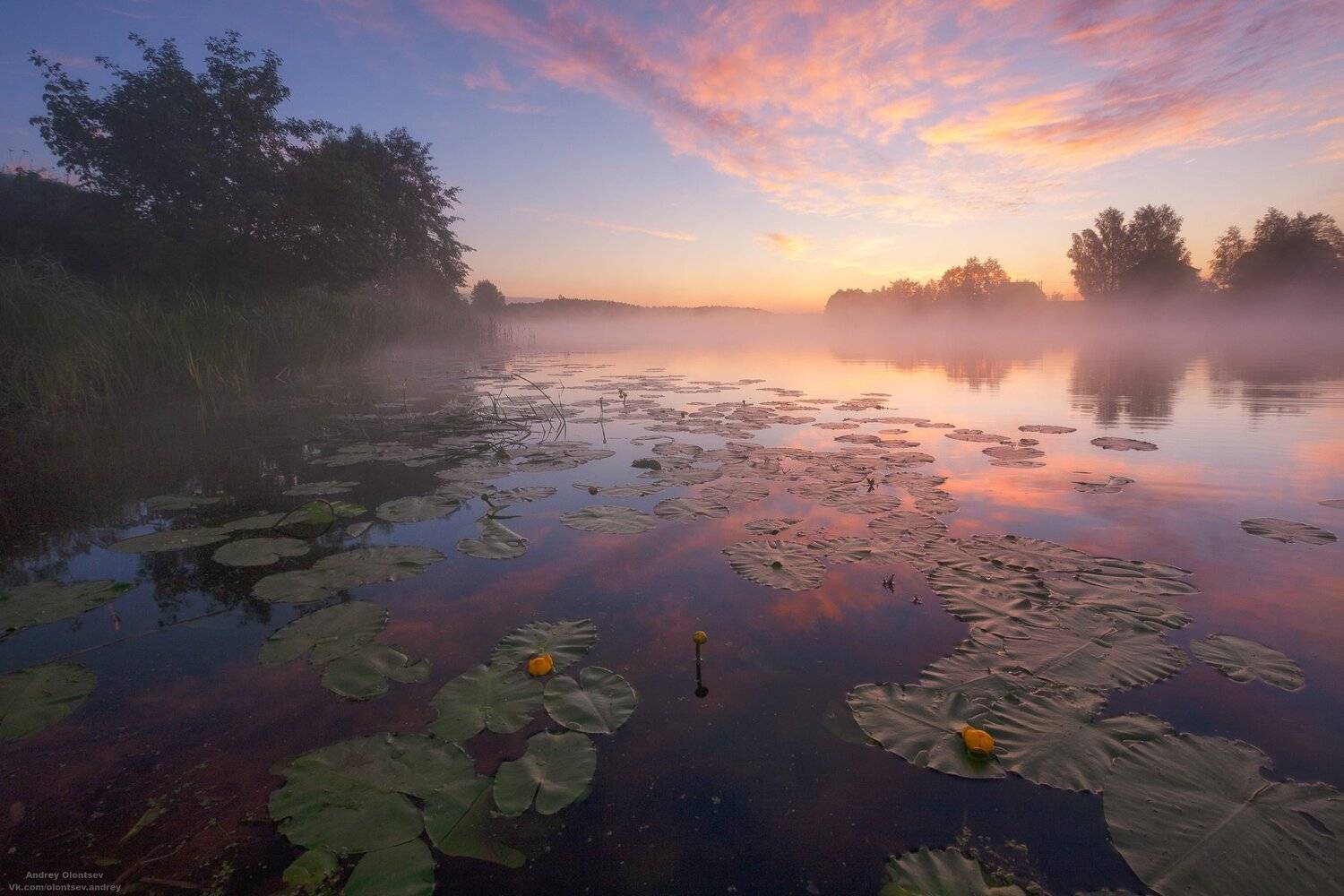 солнце, россия, рассвет, природа, подмосковье, погода, пейзажи, пейзаж, отражение, наукоград, красота, дубна, вода, весна, weather, water, spring, russia, reflection, naukograd, nature, moscow, landscape, dawn, canon, dubna, beauty, Андрей Олонцев