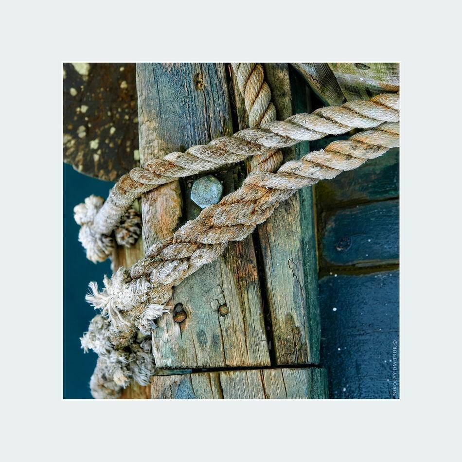 натюрморт, николай дмитрук